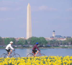 two cyclists biking in Washington DC